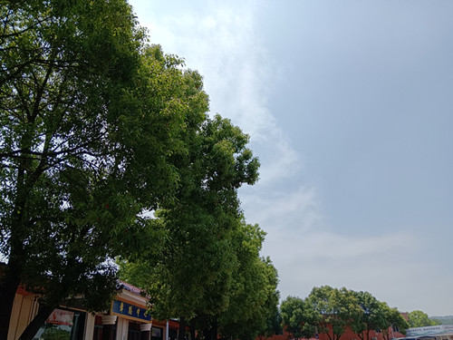 校园环境.jpg